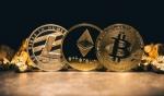 Digital Gems: Top 10 Crypto and NFT Websites Setting Trends in 2023